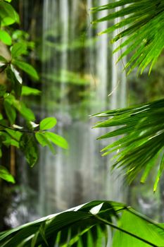 View through green leaves with waterfall in background