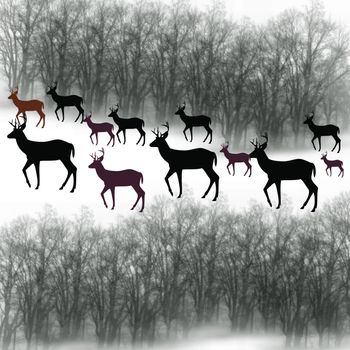 black and white deer in the forest illustration
