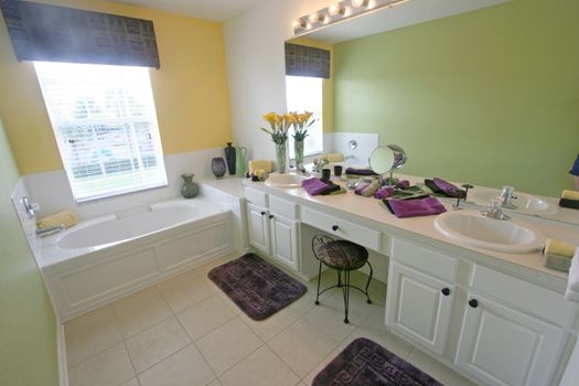 A Interior Shot of a Master Bathroom