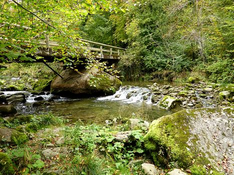 Bridge over a river in deep forest with trees and rocks