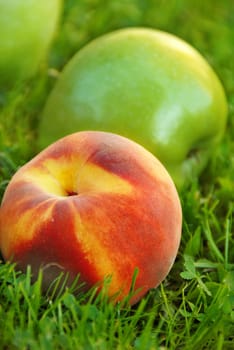 red peach and green apple in grass outdoor