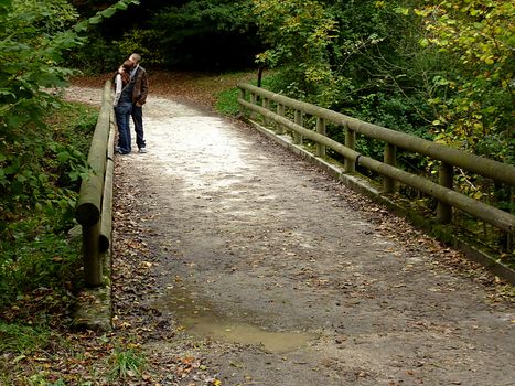 Lovers kissing on a bridge in the forest