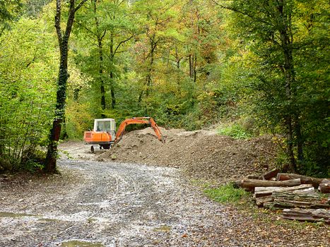 Orange mechanical digger in forest surrounded by trees