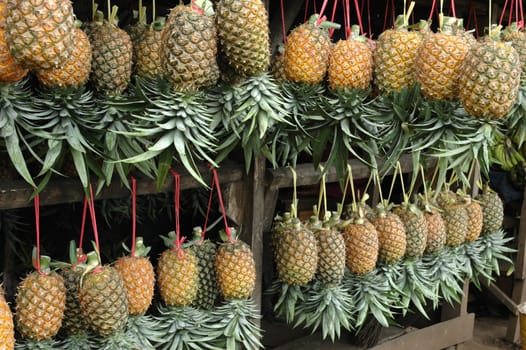fresh pineaple fruits that sold in traditional market