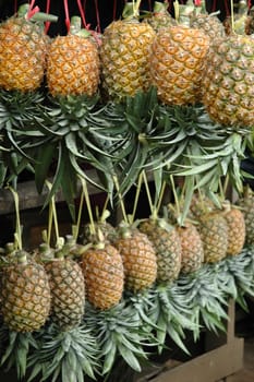fresh pineaple fruits that sold in traditional market