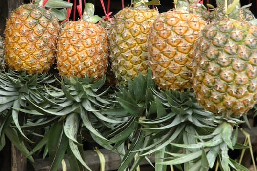 fresh pineaple fruits that sold in traditional market