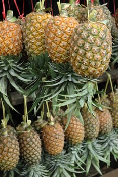 fresh pineaple fruits that sold in traditional market