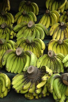 fresh banana that sold in traditional market