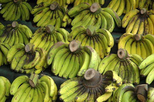 fresh banana that sold in traditional market