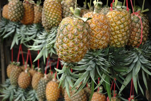 fresh pineaple fruits that sold in traditional market
