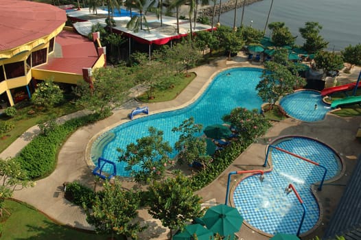 swimming pool surrounded by trees and plants in the summer