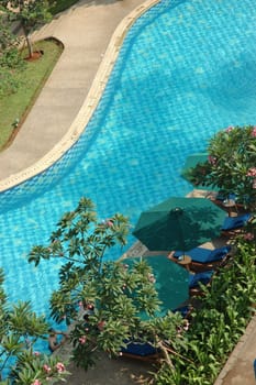 swimming pool surrounded by trees and plants in the summer