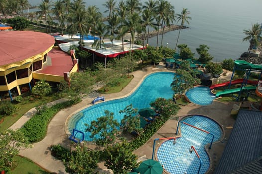 swimming pool surrounded by trees and plants in the summer