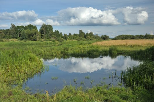 Stream on a meadow, reflexion of clouds in water.