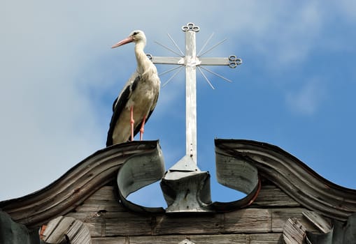 The stork costs near to a cross on a roof of a rural church