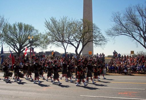 Scottish pipe and drum corp marches in the Washington, DC Cherry Blossom Festival Parade.
