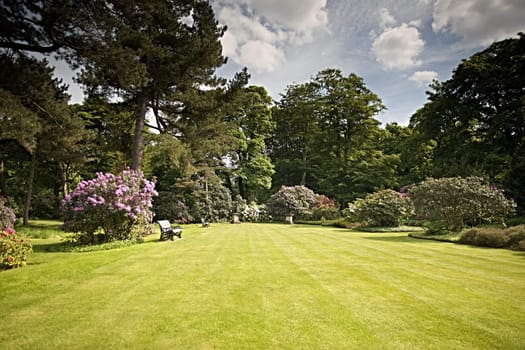 A beautiful garden with ornamental flowering shrubs and a striped lawn