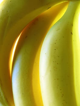 yellow banana close up