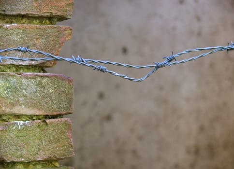 old wall and barbed  wire