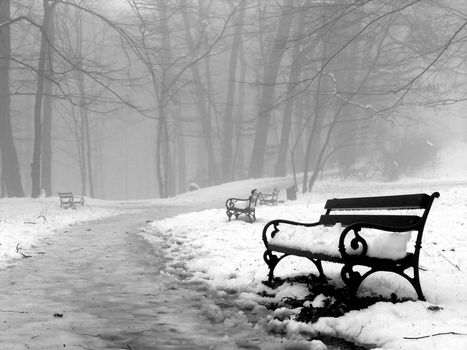 Benches in woods under snow
