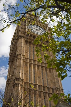 Low angle shot of Big Ben through a tree, showing greenleaves in the foreground