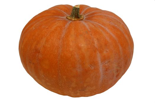 Halloween pumpkin isolated on white background