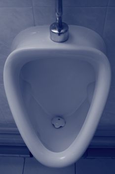 Toilet bowl in monochrome blue