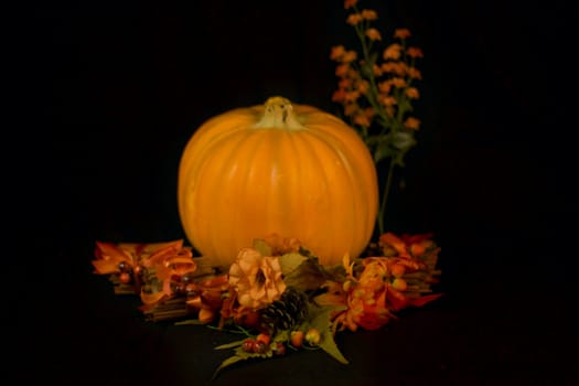 Fall Harvest Halloween Pumpkin Isoalted on a black background.