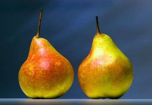 Two pears standing on a table on a dark background