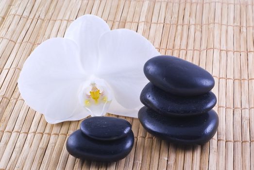 Black zen stones and a white orchid on a bamboo background.