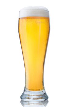 Fresh glass of pils beer with froth and condensed water pearls isolated on white background 
