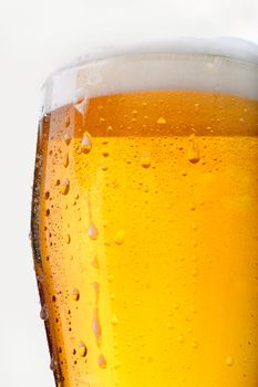 Fresh glass of pils beer with froth and condensed water pearls on white background 
