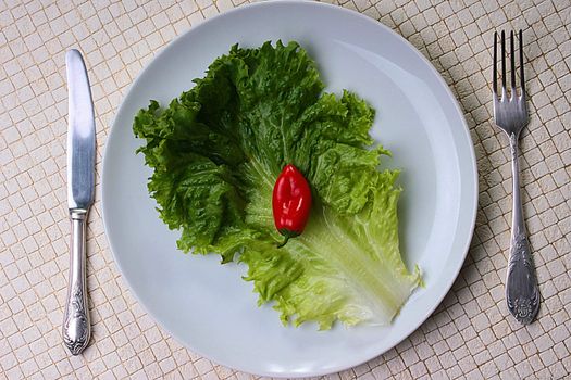 Red hot pepper on sheet of green salad in a white fork with a plug and a knife.