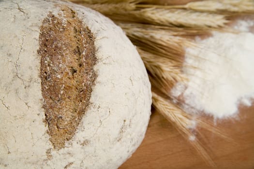 tasty and crispy fresh bread with sour and wheat head