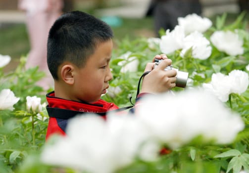 Peony shoot children