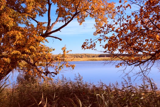 Rural autumn landscape removed by a sunny day through branches of trees