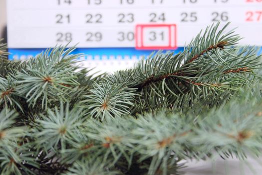 Blue spruce branches removed close up against a calendar with date on December, 31st