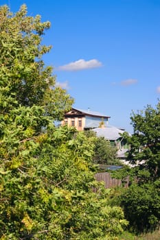 Old rural small house behind leaves of greens against the dark blue sky