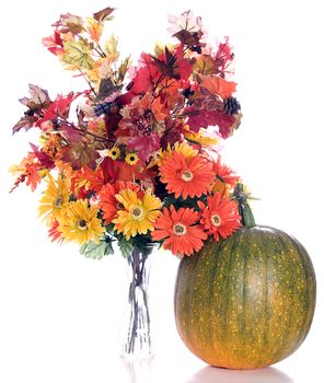 Artificial fall flowers and leaves shot next to a real pumpkin that is slowly turning orange, isolated against a white background