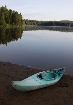 The reflection of evergreen trees in Pog Lake, in Algonquin Park, Ontario, Canada.
