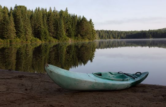 The reflection of evergreen trees in Pog Lake, in Algonquin Park, Ontario, Canada.
