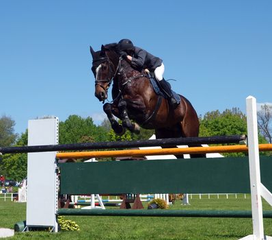 A horse and rider over a jump        