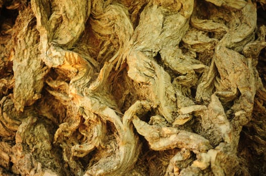 brown and beige macro closeup  of deep texture in tree bark