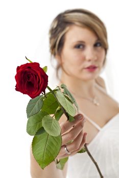 beautiful young bride in a wedding dress with a veil holding a rose