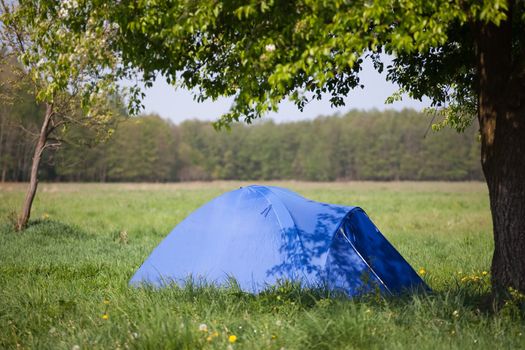 blue tent under the tree - summer landscape