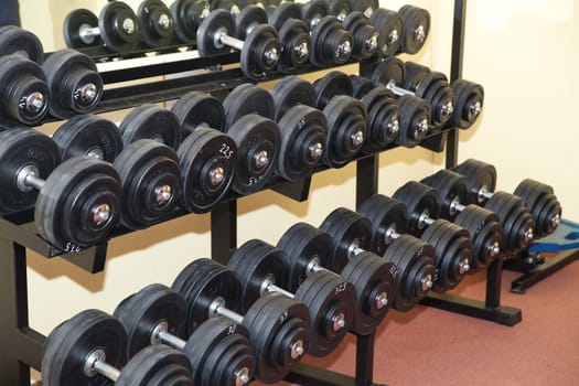 lots of dumbbells in the modern gym