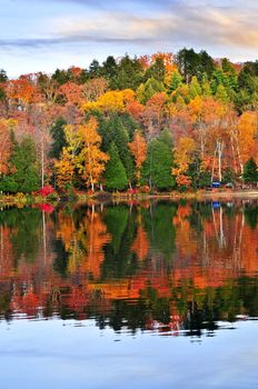 Forest of colorful autumn trees reflecting in calm lake