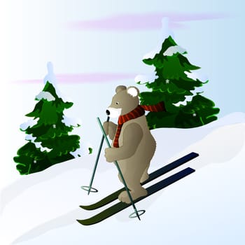 bear a new champion in skiing in the mountains
