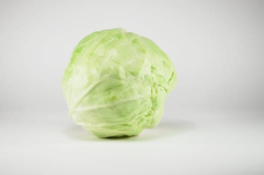 fresh green cabbage