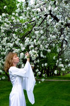 The blonde girl in white dress and apple-tree with white flowers
